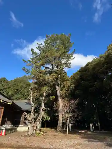群馬県護国神社(群馬県)