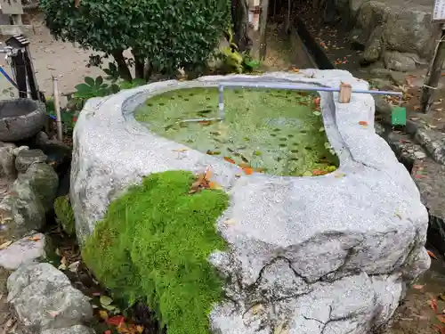 天開稲荷社の手水舎