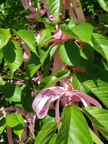 桜神宮(東京都)