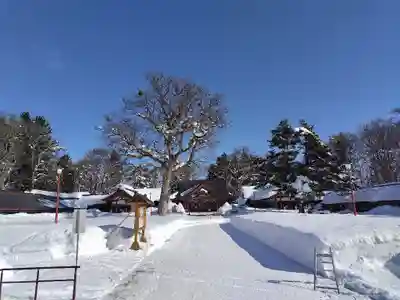 北海道護國神社の本殿・本堂