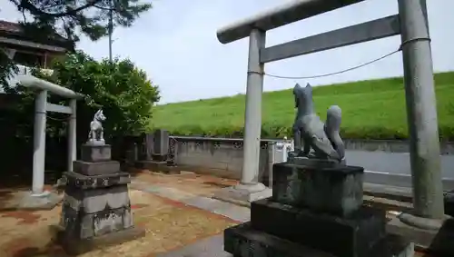 樋野口稲荷神社の狛犬