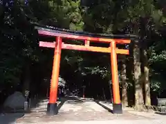 霧島神宮の鳥居