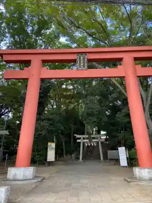 世田谷八幡宮の鳥居