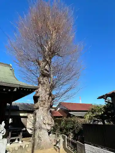 神明神社(東京都)