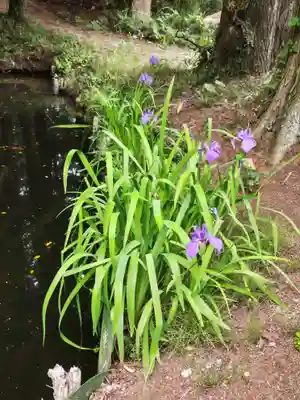 鹿島大神宮(福島県)