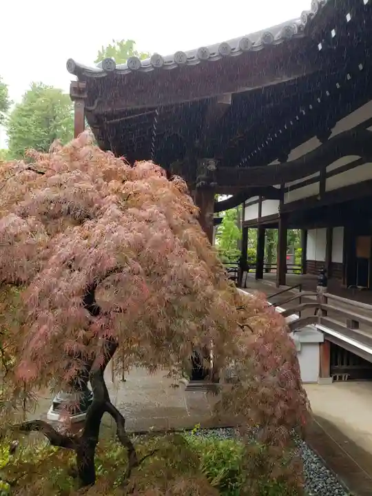 妙法寺(東京都)