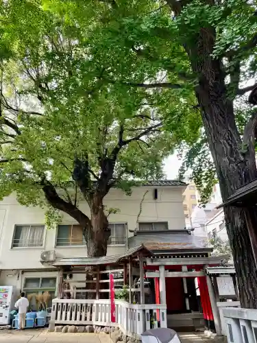 鳥越神社(東京都)