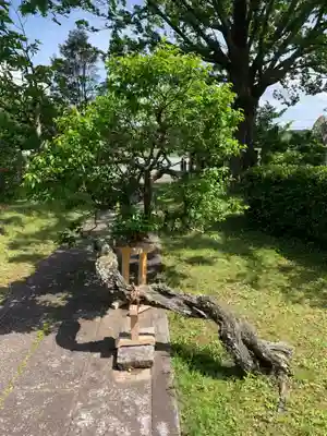 竜昌院(千葉県)