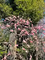 布多天神社(東京都)