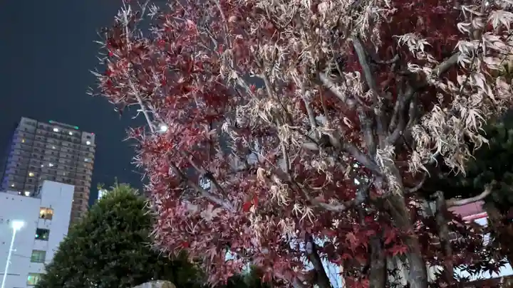 豊川稲荷札幌別院(玉宝禅寺)の自然