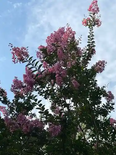 大生郷天満宮の自然