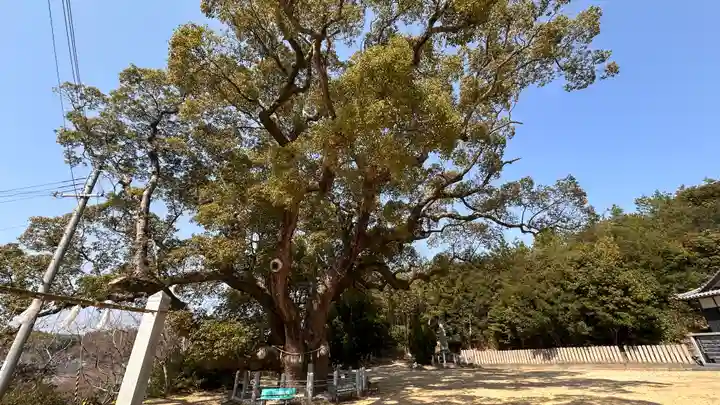 志筑神社(兵庫県)