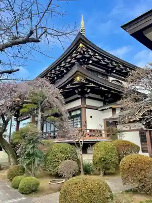 大義寺(東京都)
