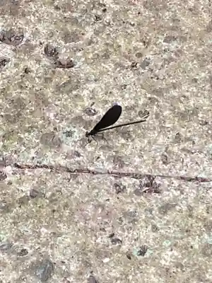 光丸山 法輪寺(栃木県)