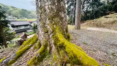 白藤神社(兵庫県)