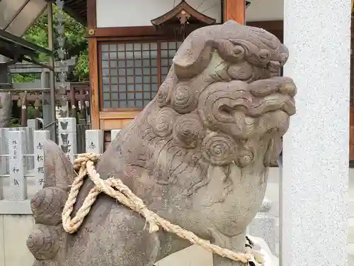 伊居太神社の狛犬