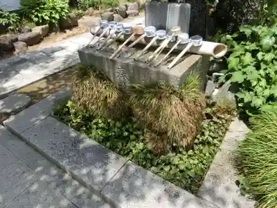 八坂寺の手水舎