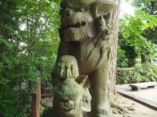 御霊神社の狛犬