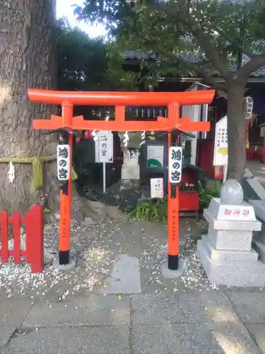 鴻神社(埼玉県)