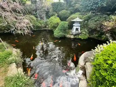子安地蔵寺の{uncategorized: "未分類", other: "その他", undefined: "問題あり", building: "その他建物", grave: "お墓", sacred_gate: "鳥居", guardian: "狛犬", statue: "像", buddha: "仏像", history: "歴史", nature: "自然", garden: "庭園", animal: "動物", pagoda: "塔", temizu: "手水舎", mountain_gate: "山門・神門", sanctuary: "本殿・本堂", subordinate: "末社・摂社", art: "芸術", scenery: "景色", jizo: "地蔵", ema: "絵馬", goshuin: "御朱印", omikuji: "おみくじ", items: "授与品その他", amulet: "お守り", goshuincho: "御朱印帳", eats: "食事", festival: "お祭り", votive_dance: "神楽", shichigosan: "七五三参", wedding: "結婚式", experience: "体験その他", initially: "初詣", around: "周辺", anti_infection: "感染症対策"}