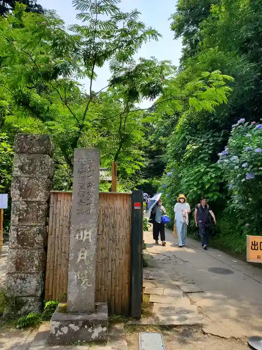 明月院(神奈川県)