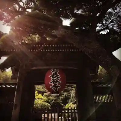 長谷寺の山門・神門
