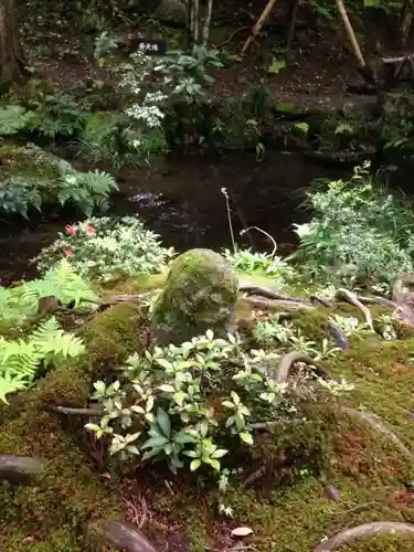 三千院門跡の庭園