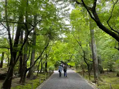 龍安寺(京都府)