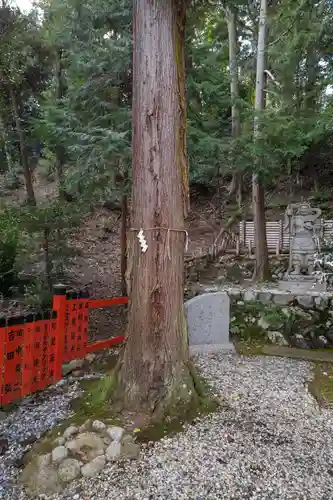 御髪神社の自然