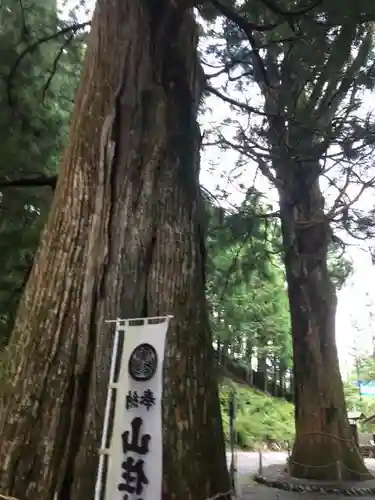 山住神社の自然