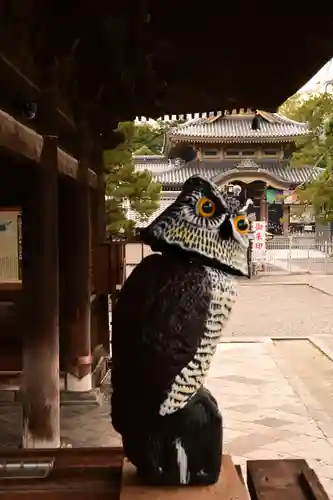 善光寺(長野県)