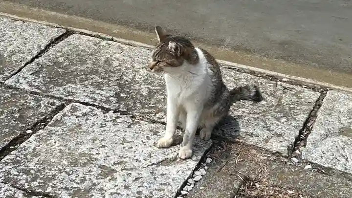 高尾阿弥陀堂の動物