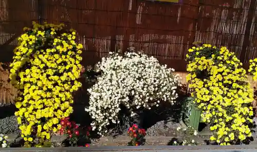 高幡不動尊　金剛寺の自然