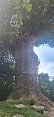 荏柄天神社(神奈川県)