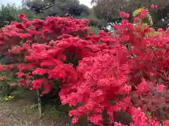 総願寺の自然