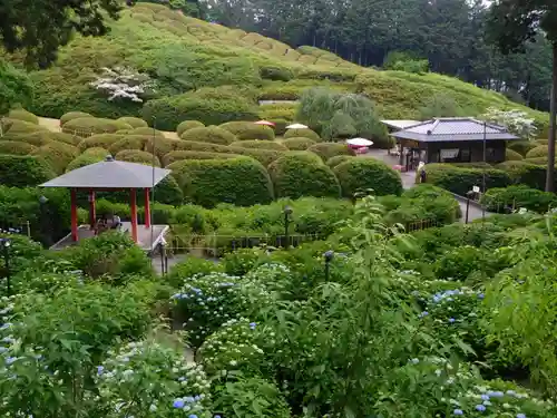 三室戸寺の庭園