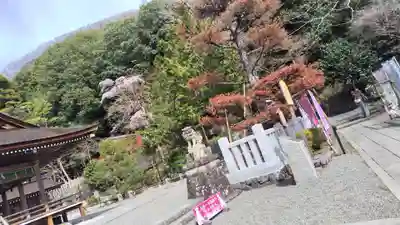 出雲大神宮(京都府)