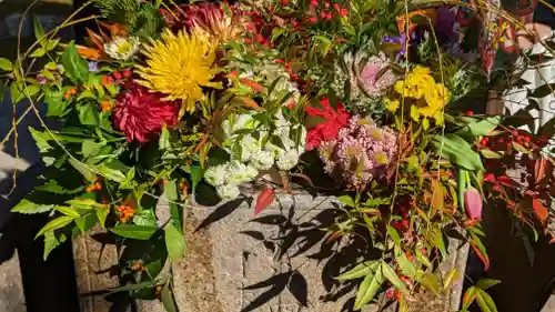 勝林寺(京都府)