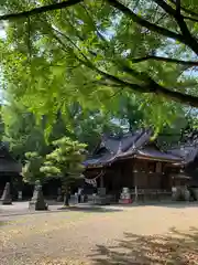 玉敷神社(埼玉県)