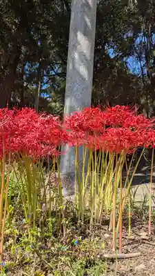 水主神社・樺井月神社・衣縫神社(京都府)