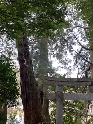 高岡神社(岡山県)