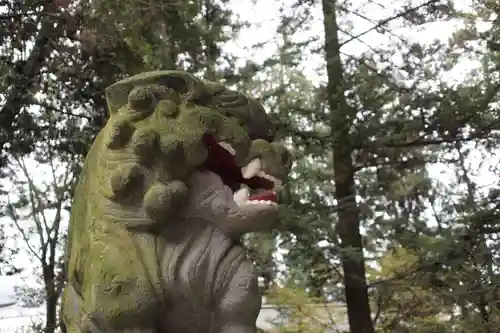 菅田天神社の狛犬