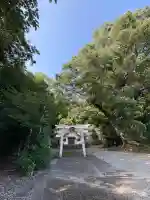 宍喰八坂神社(徳島県)