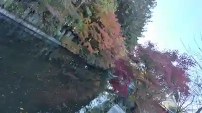 稗田野神社(薭田野神社)(京都府)