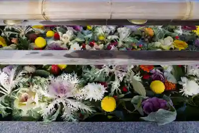 豊景神社の手水舎