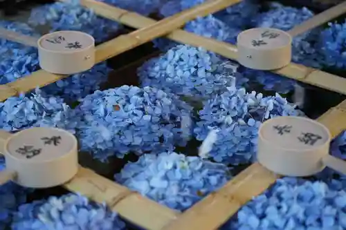 土津神社｜こどもと出世の神さまの手水