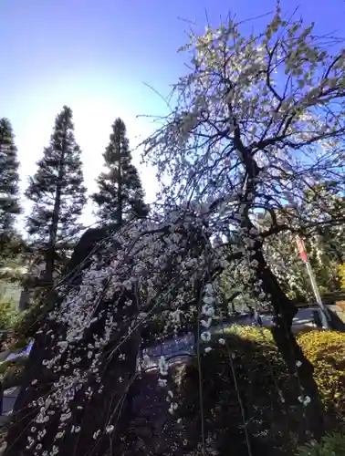 東長谷寺　薬王院(東京都)