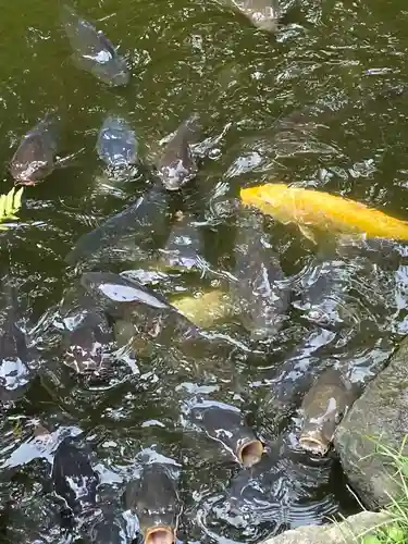 報徳二宮神社の庭園