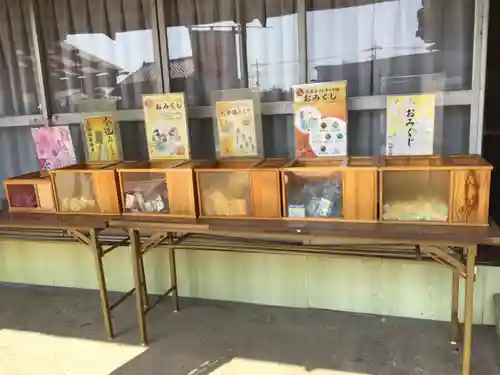 八坂神社のおみくじ