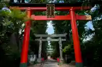 馬橋稲荷神社の鳥居